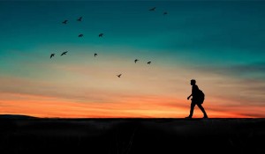 테스트 글입니다