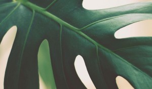 테스트 글입니다