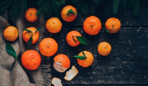 테스트 글입니다